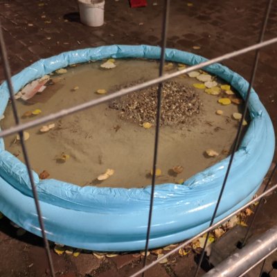 link to project